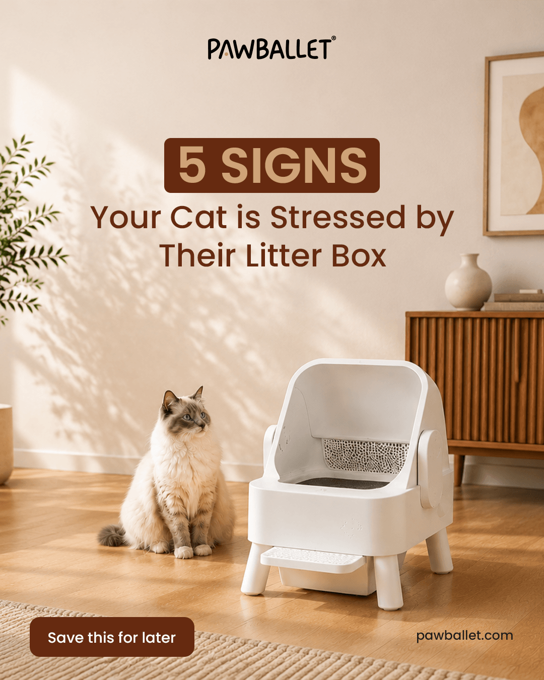 Cat near litter box