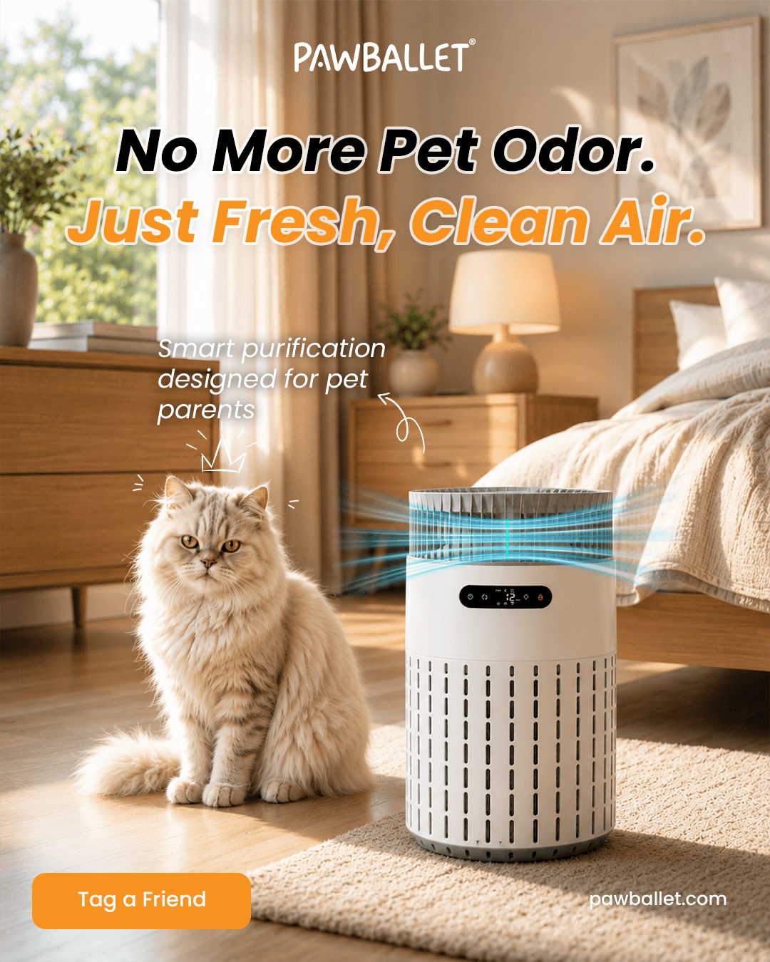 Cat beside air purifier