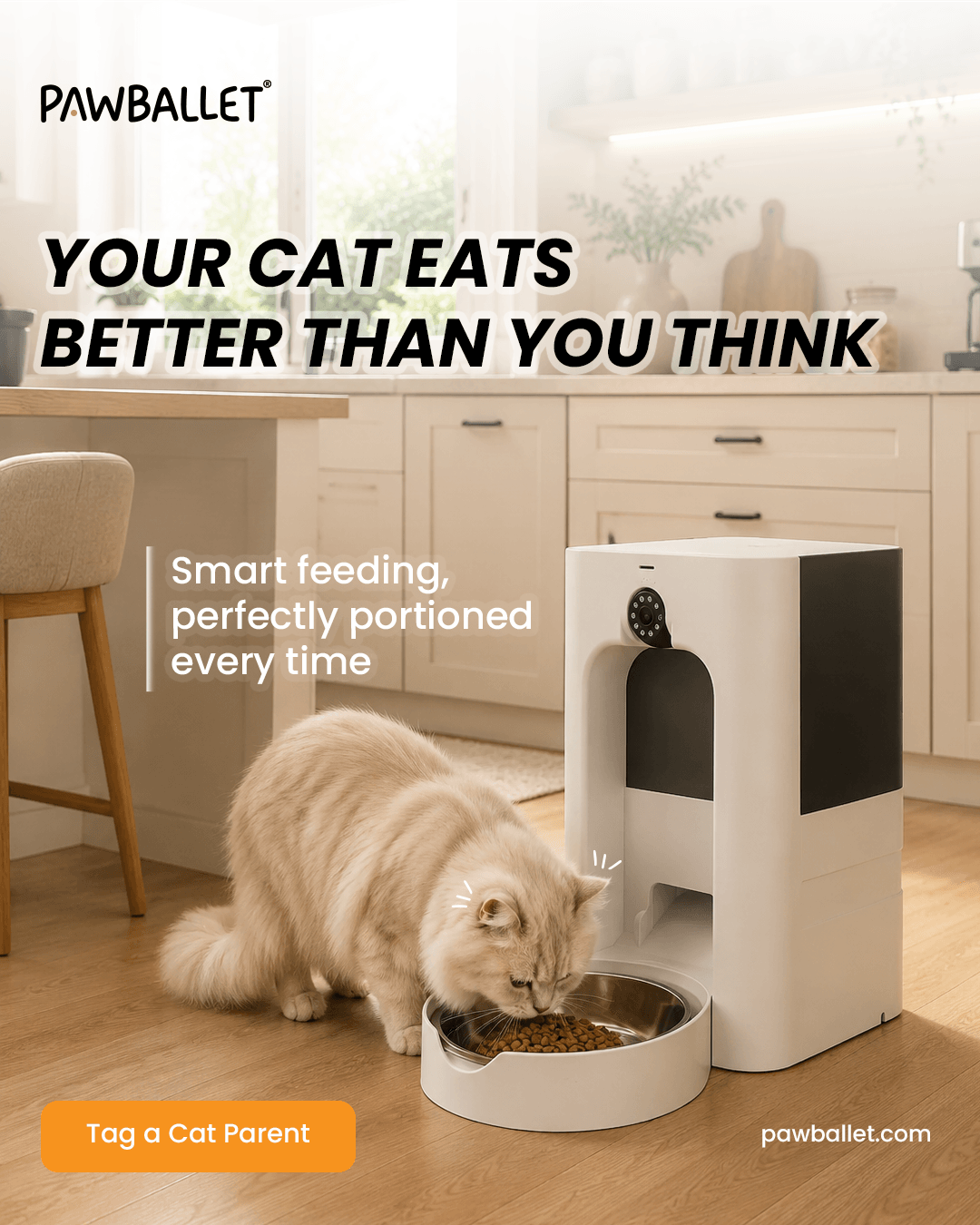 Cat eating from feeder